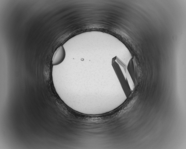 X0000096400833200802211201