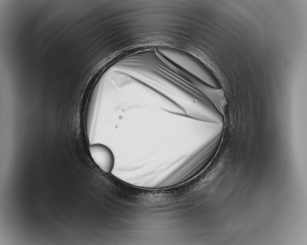 X0000096400834200802211202