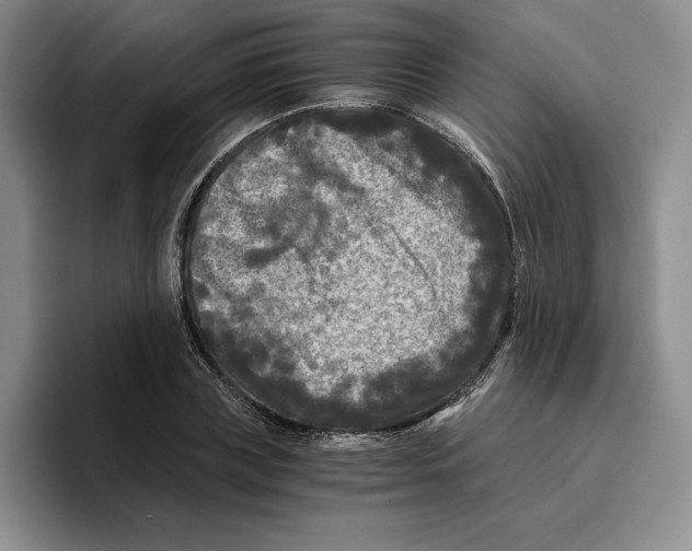 X0000096400835200802211202