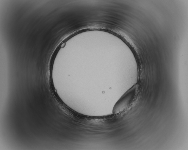 X0000096400837200802211202