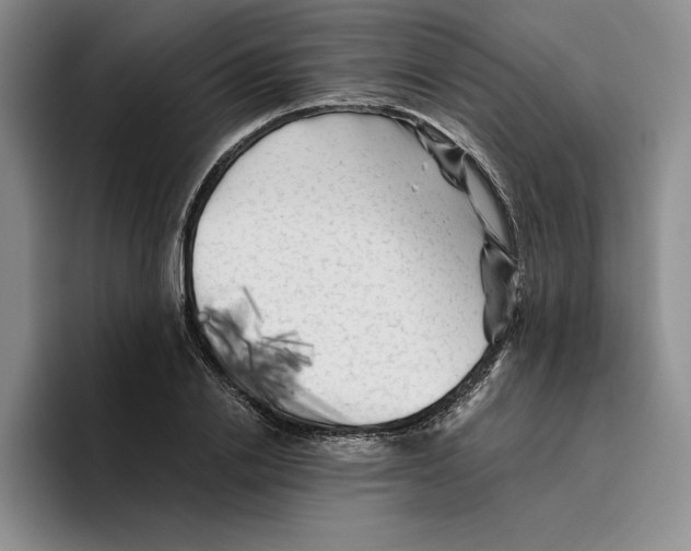 X0000096400838200802211202