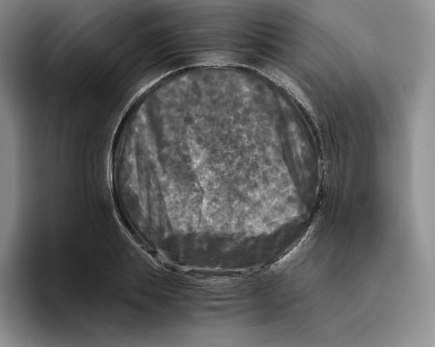 X0000096400839200802211202