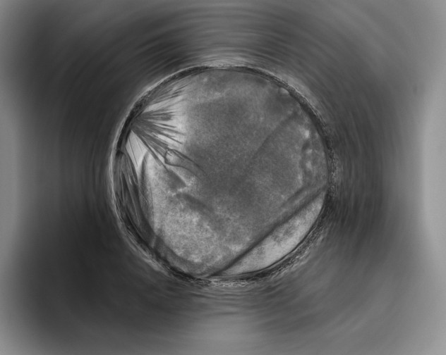 X0000096400840200802211202