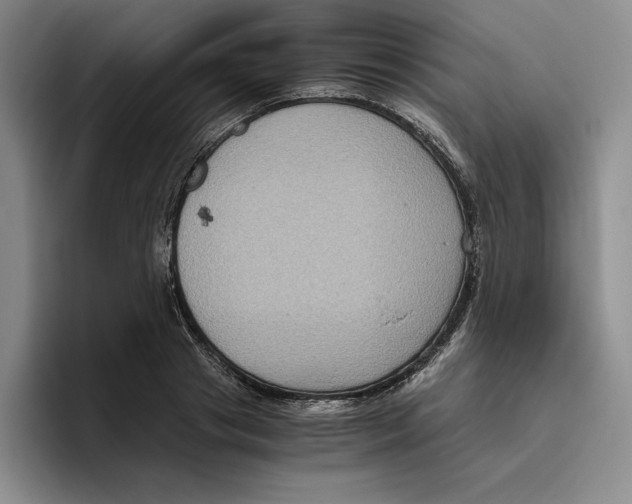 X0000096400841200802211202