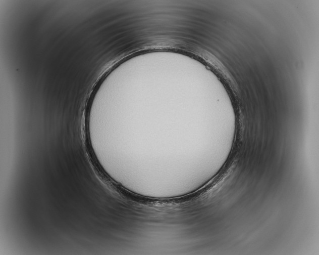 X0000096400842200802211202