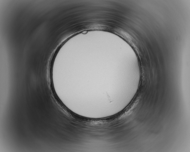 X0000096400843200802211202