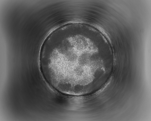 X0000096400845200802211202