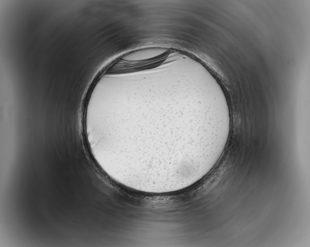 X0000096400846200802211202