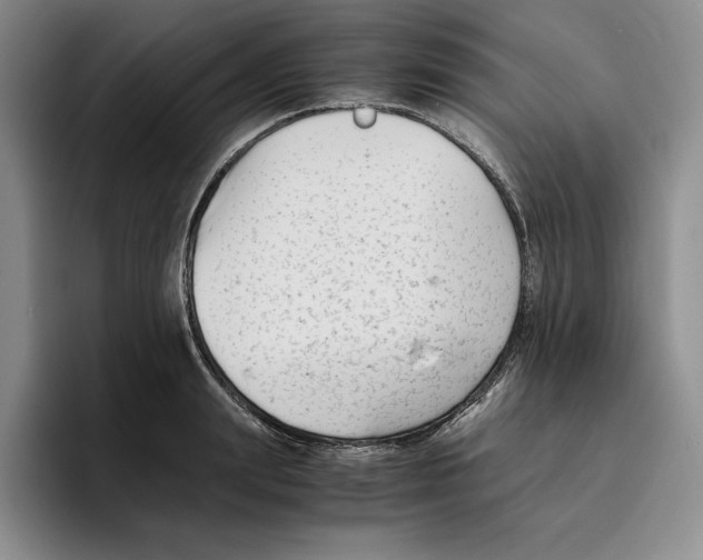 X0000096400847200802211202