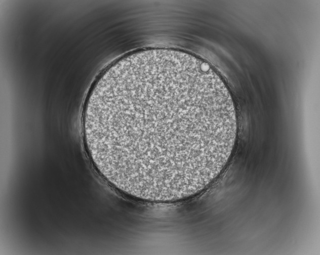 X0000096400848200802211202