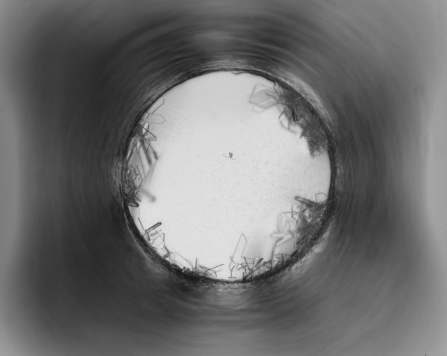 X0000096400849200802211202