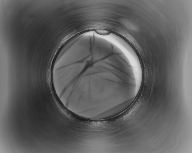 X0000096400850200802211202