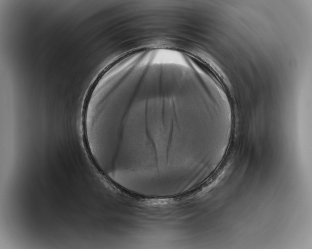 X0000096400853200802211202