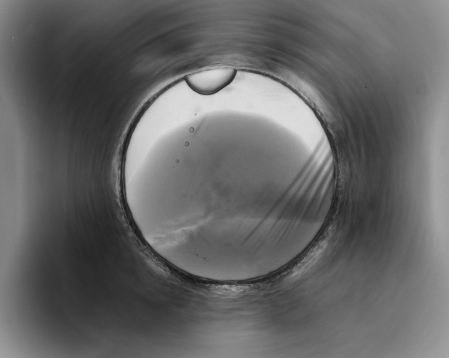 X0000096400854200802211202