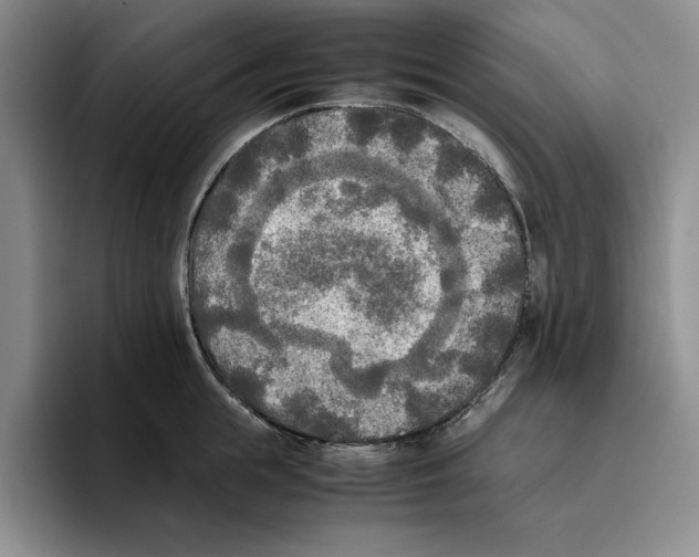 X0000096400855200802211202