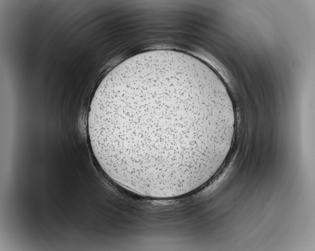 X0000096400857200802211202