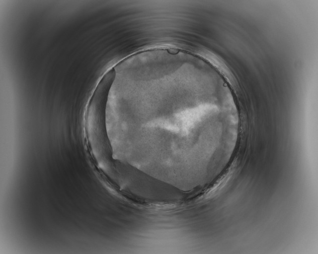 X0000096400858200802211202