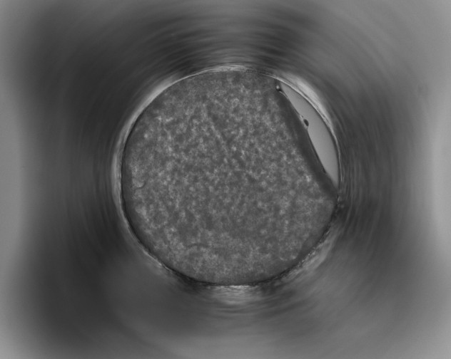 X0000096400859200802211202