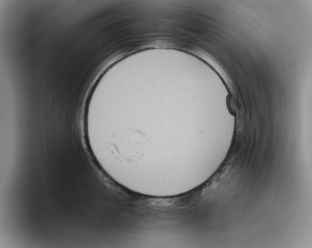 X0000096400861200802211202