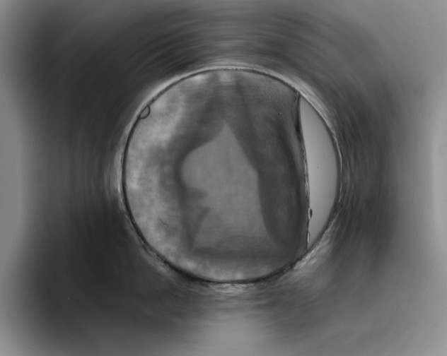 X0000096400862200802211202