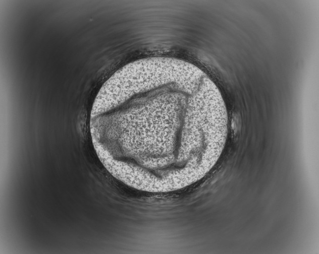 X0000096400867200802211201