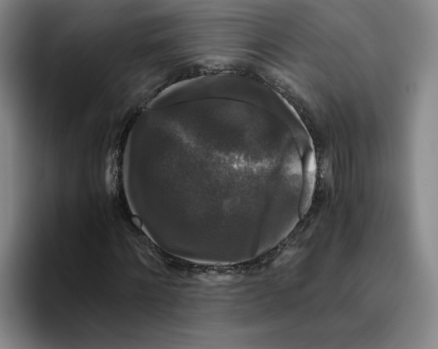 X0000096400868200802211201