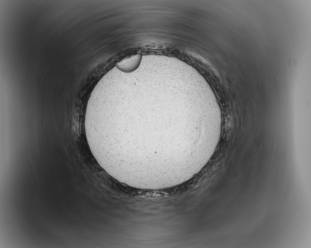 X0000096400869200802211201