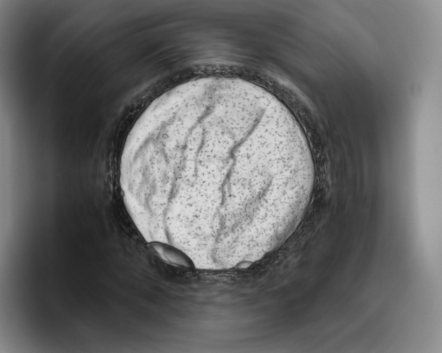 X0000096400870200802211201