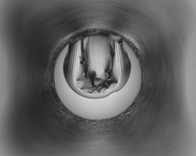 X0000096400872200802211201