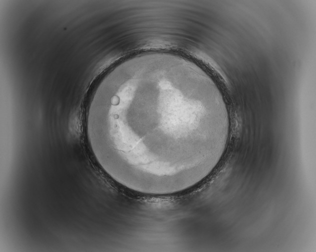 X0000096400874200802211201