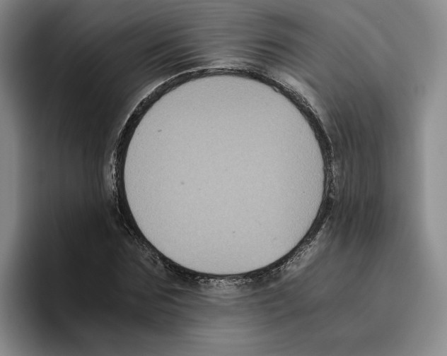 X0000096400875200802211201