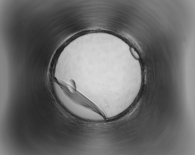 X0000096400876200802211201