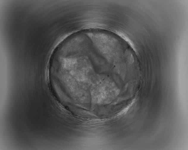 X0000096400877200802211201