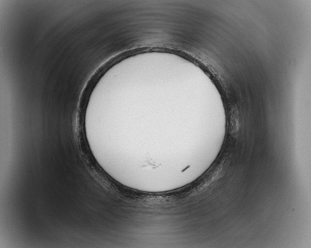 X0000096400880200802211201