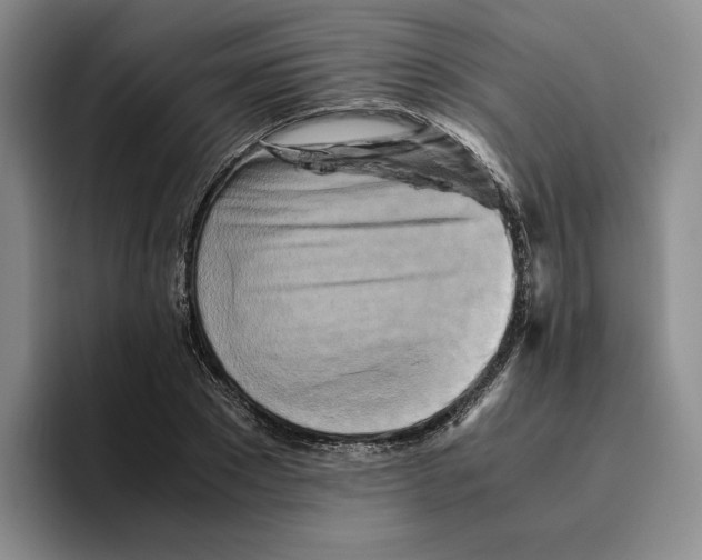 X0000096400881200802211201