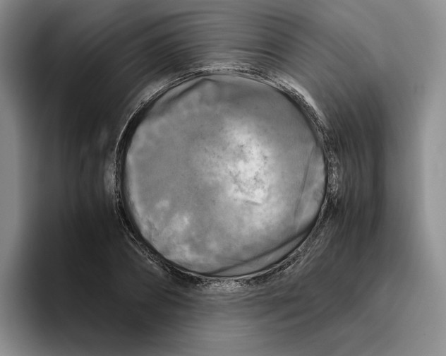 X0000096400882200802211201