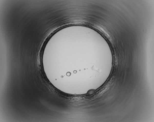 X0000096400883200802211201