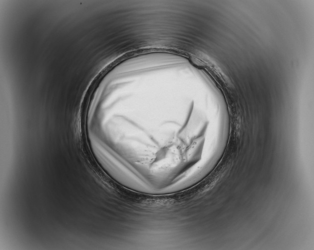 X0000096400884200802211201