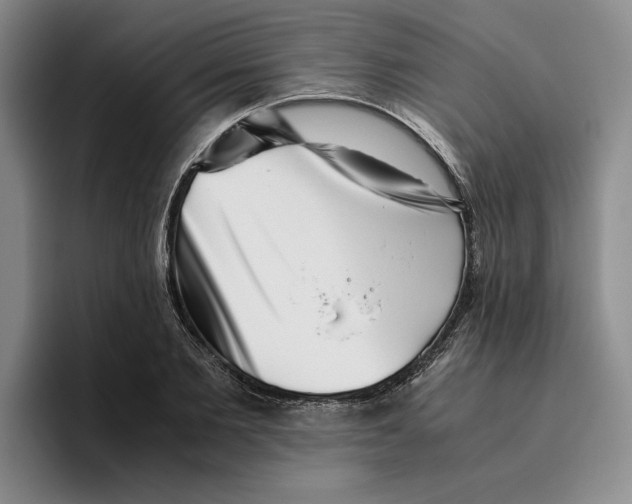 X0000096400885200802211201