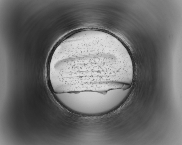 X0000096400888200802211201