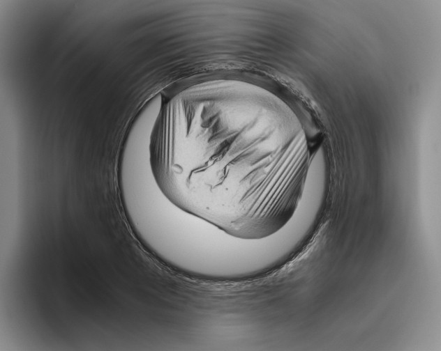 X0000096400889200802211201