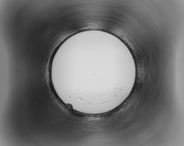 X0000096400890200802211201