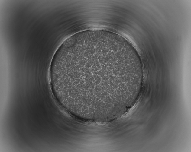 X0000096400891200802211201