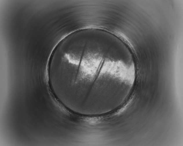 X0000096400892200802211201