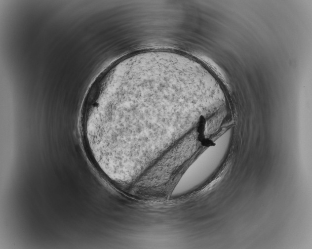 X0000096400893200802211201