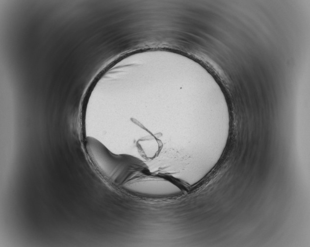 X0000096400894200802211201