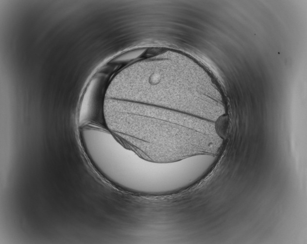 X0000096400896200802211201