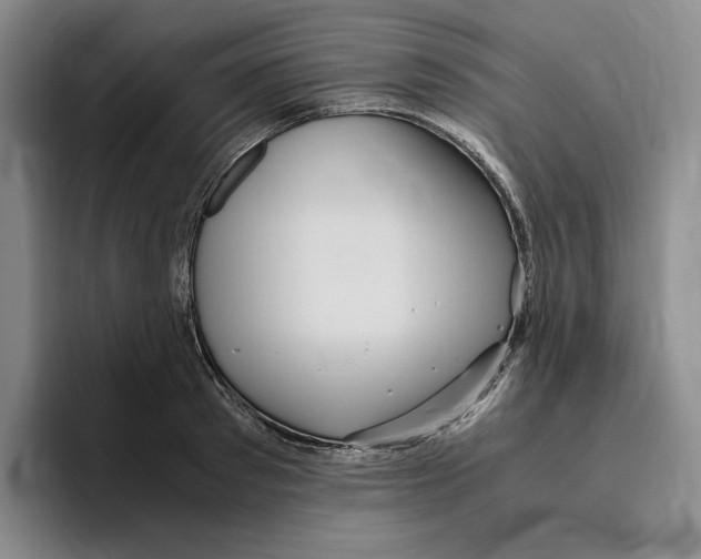 X0000096400897200802211201