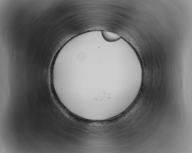 X0000096400898200802211201