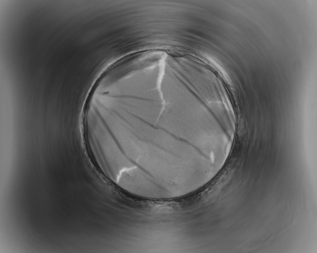 X0000096400899200802211201